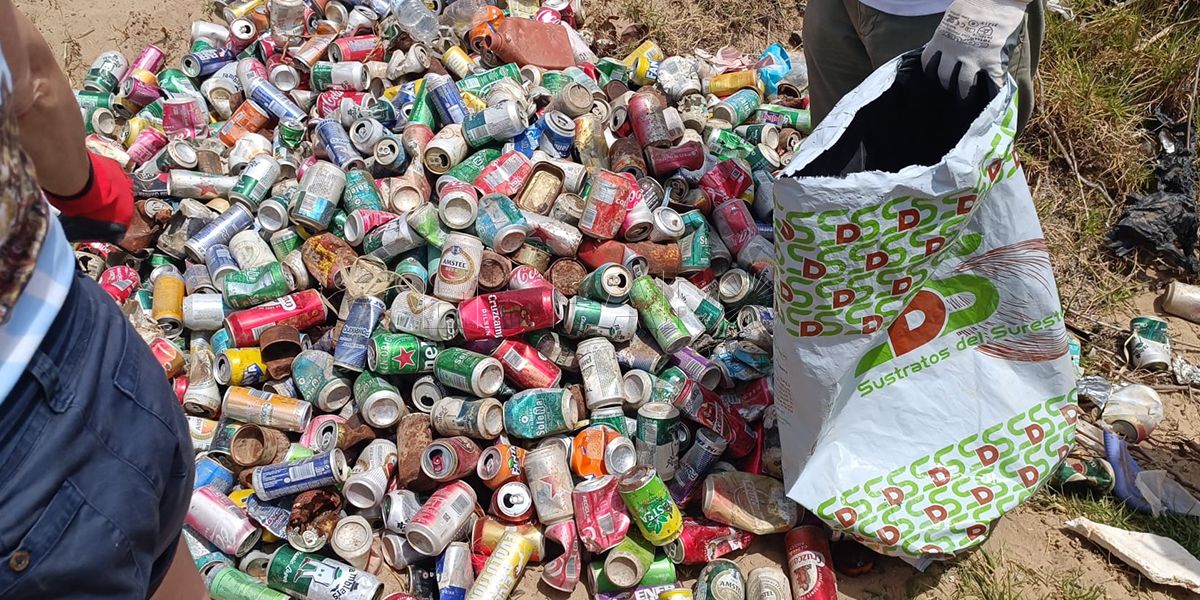 “Estamos en un país libre, así que no podemos impedir a las empresas que se presenten a un concurso”