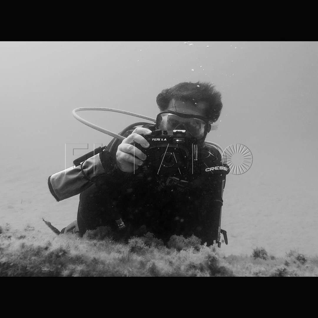 El Club Marítimo acogerá una exposición de fotografía submarina