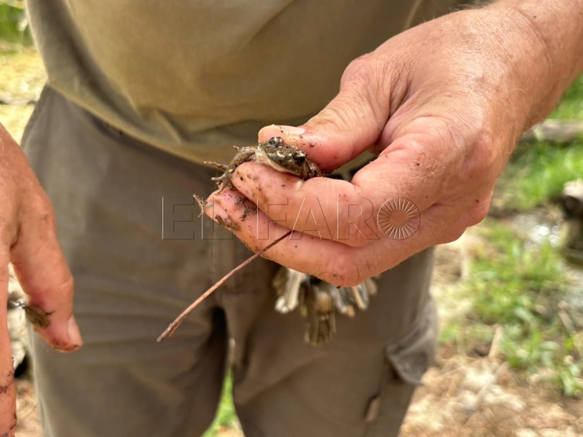 La reserva natural de la granja escuela, hábitat de especies que favorecen el control de plagas