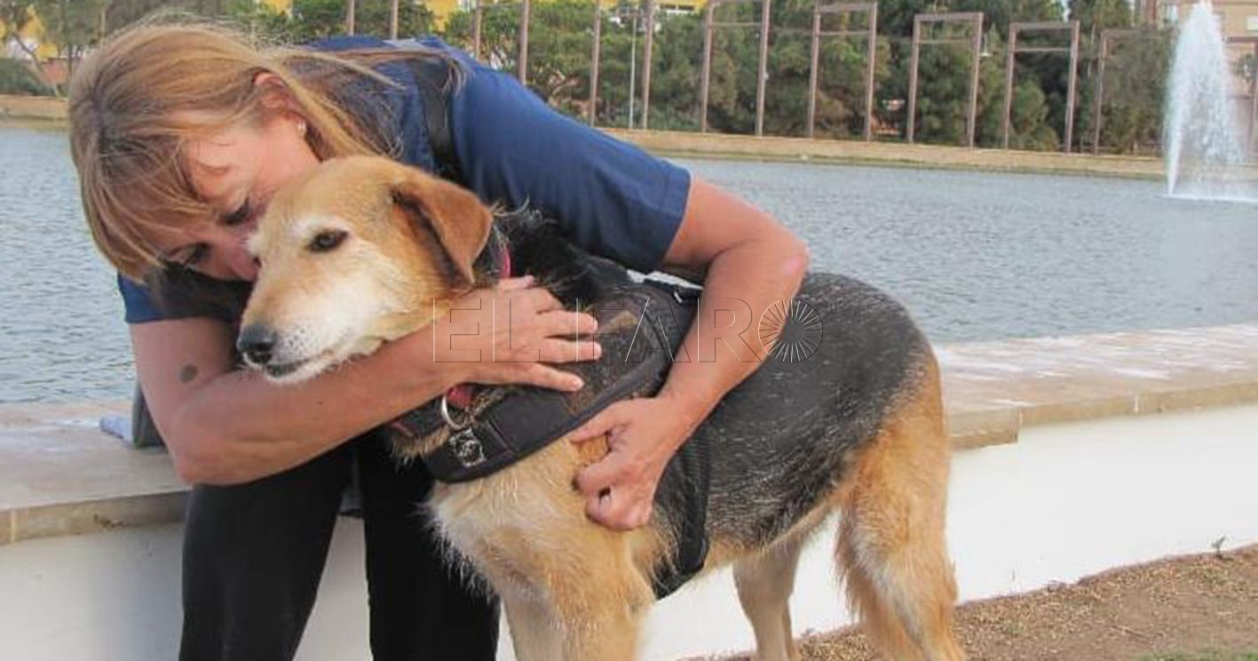 La experiencia de ser paseadora en la Protectora de Animales de Melilla