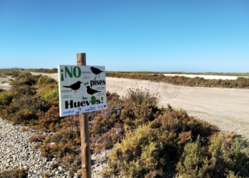 Chapó a la cadena de Punta Entinas