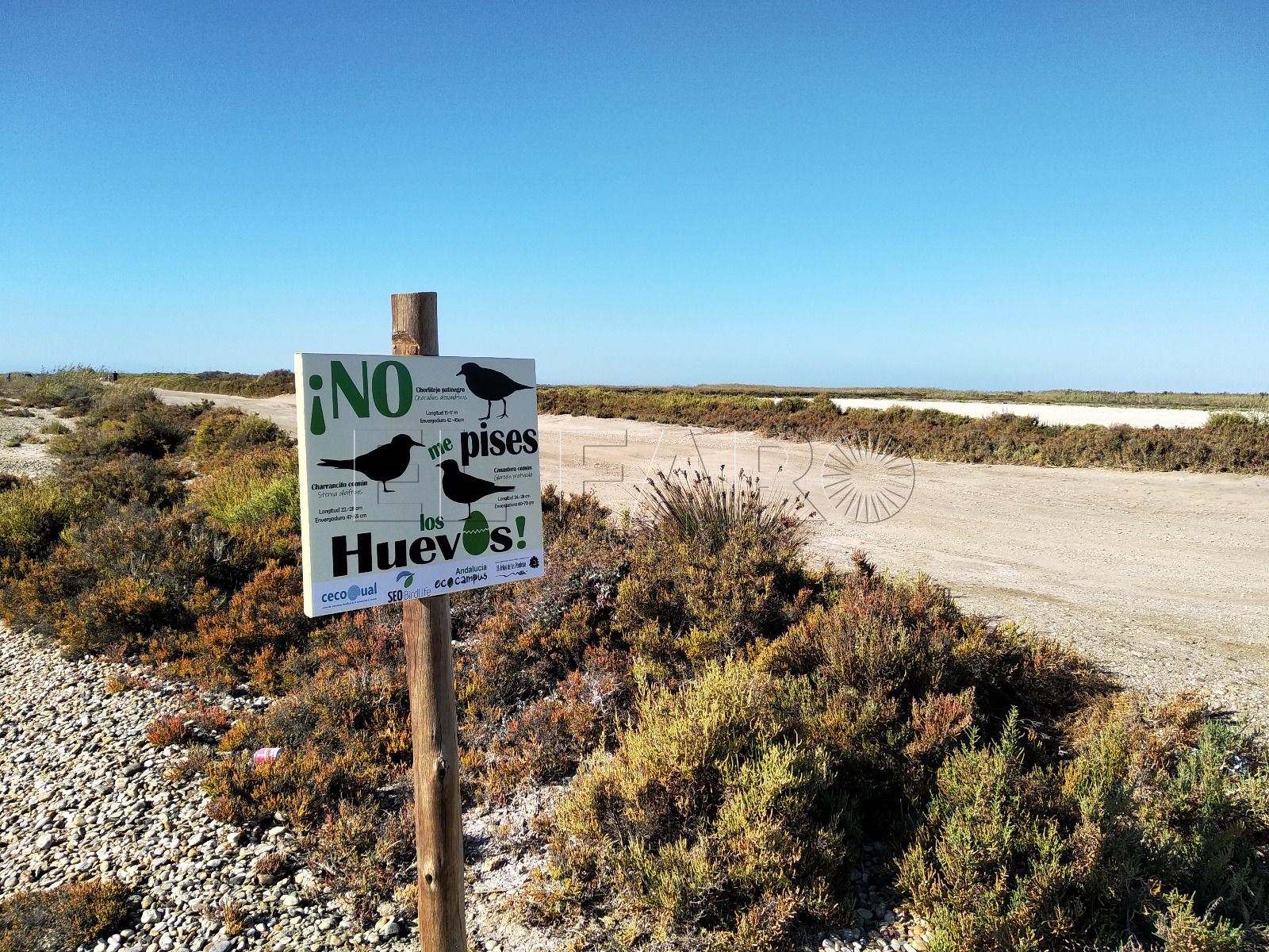 Chapó a la cadena de Punta Entinas