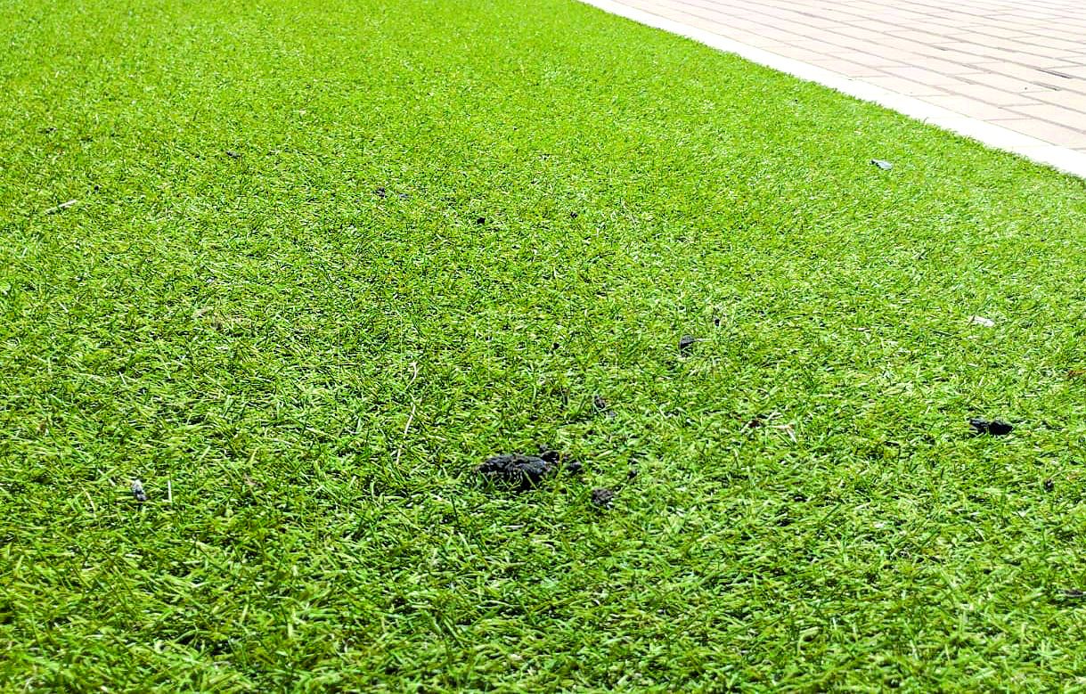 Forrando las ciudades con césped artificial