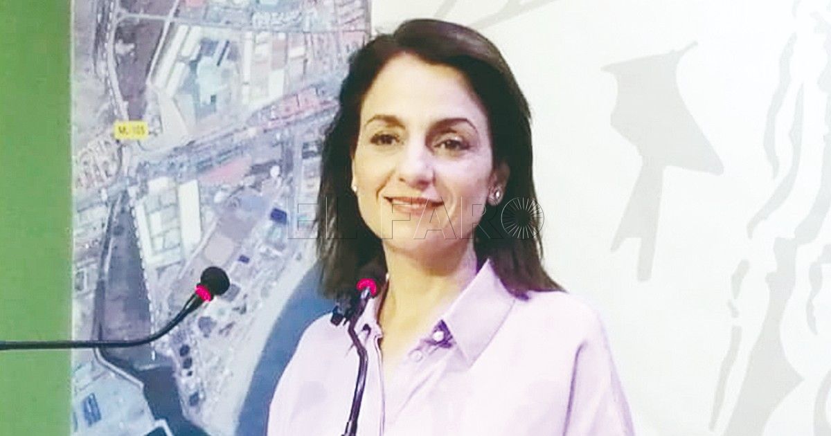 CpM quiere conocer cómo va el plan de gestión de plagas en Melilla