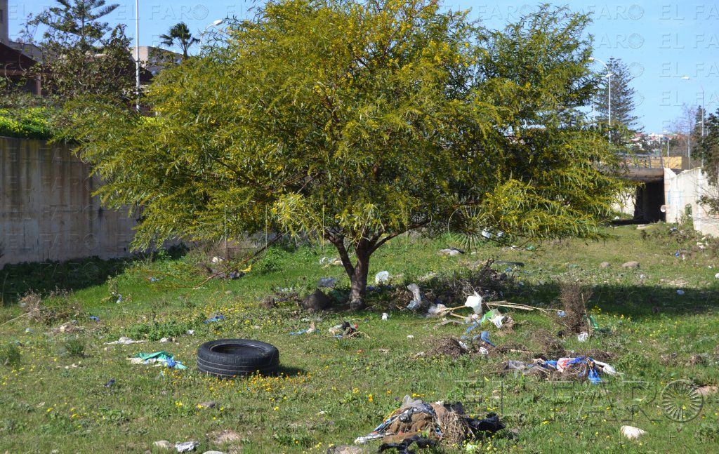 Guelaya insiste en la necesidad de mantener limpias las zonas periféricas