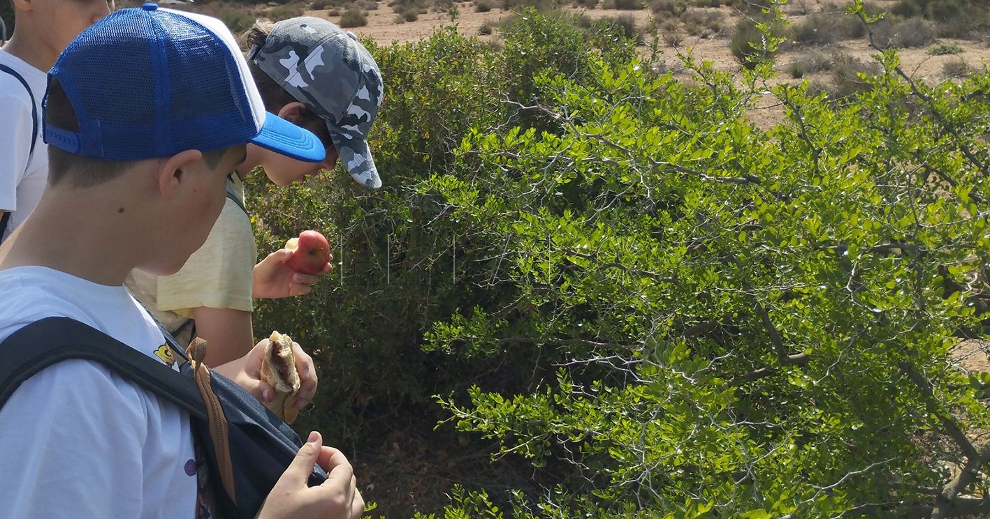 Alegría por el Premio Educaciudad