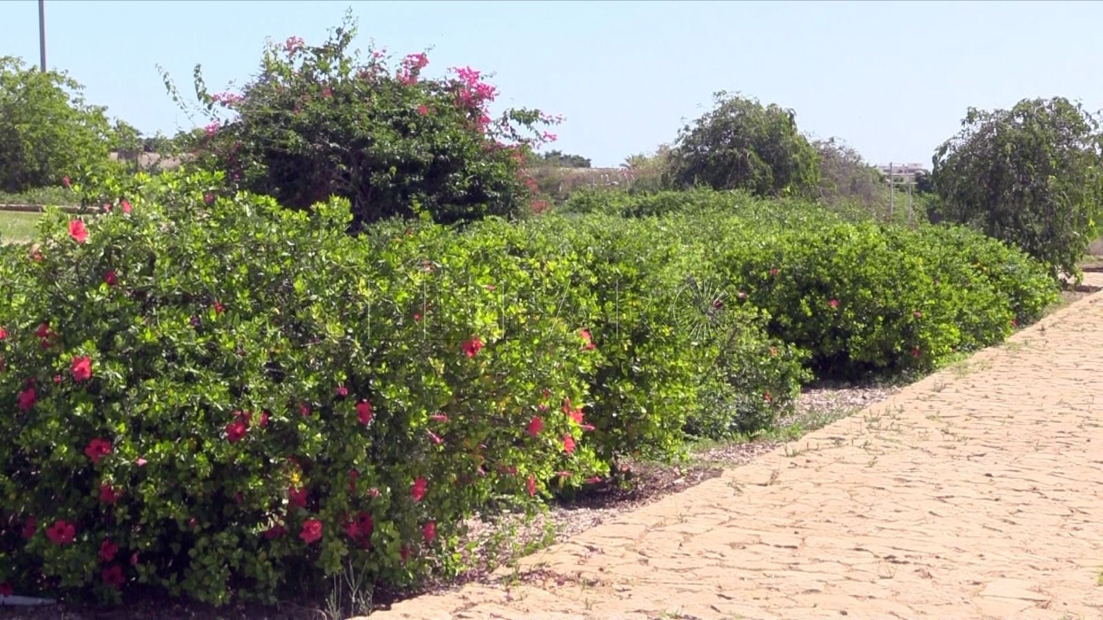 CAM adjudica a Talher el cuidado de zonas verdes mediante un contrato mejorado