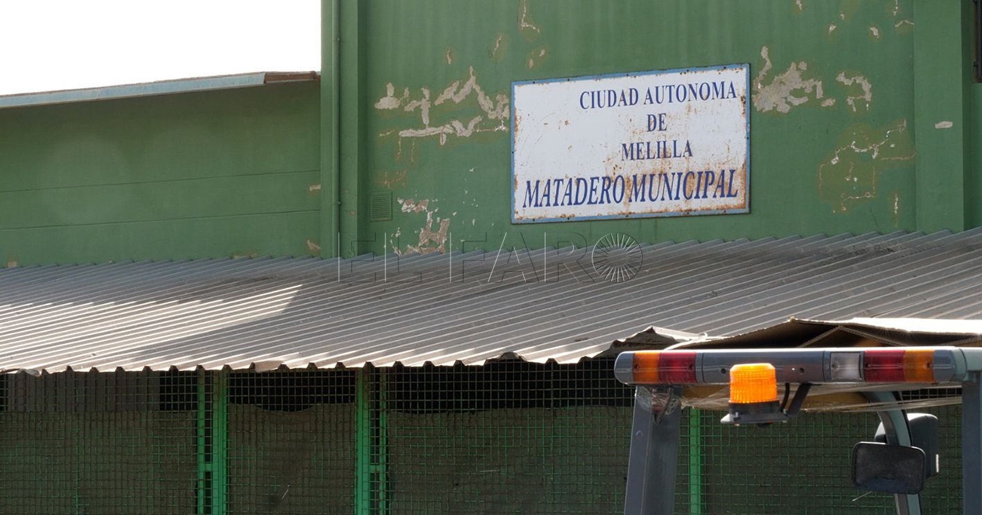 Somos Melilla alerta de la paralización de los sacrificios en el matadero municipal