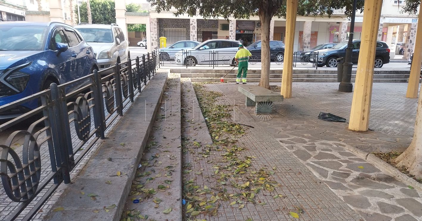 La Ciudad retira las hojas de los árboles en Ciudad de Málaga y Virgen de la Victoria