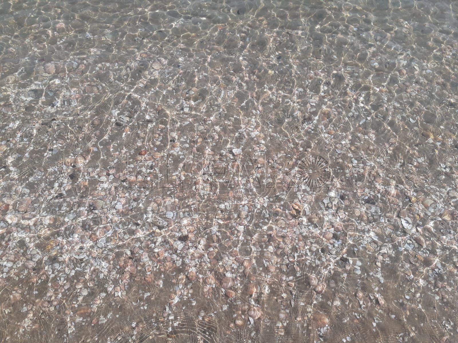 Este fin de semana la limpieza del agua de la playa superó cualquier expectativa