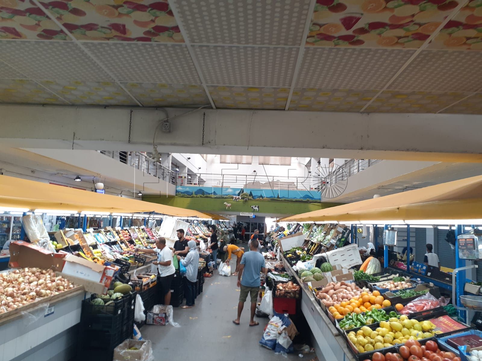 Aumentan las ventas en el Mercado Central respecto al verano anterior