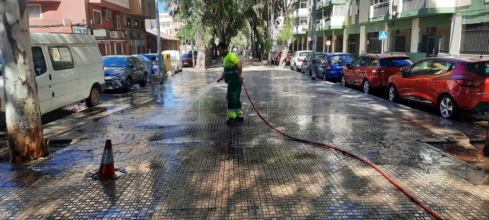 La limpieza es cosa de todos