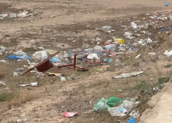 Medio Ambiente intervendrá en las plagas de cucarachas que acaban de aparecer