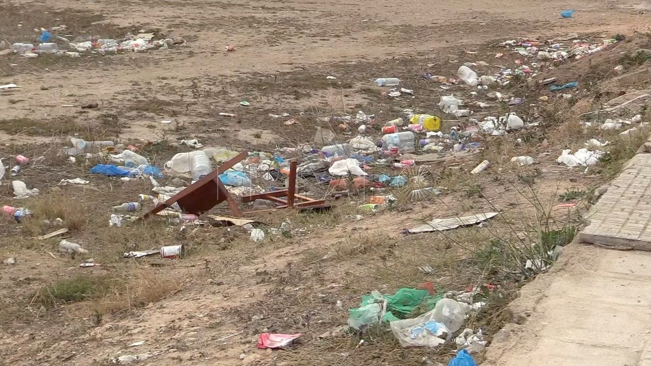 Medio Ambiente intervendrá en las plagas de cucarachas que acaban de aparecer