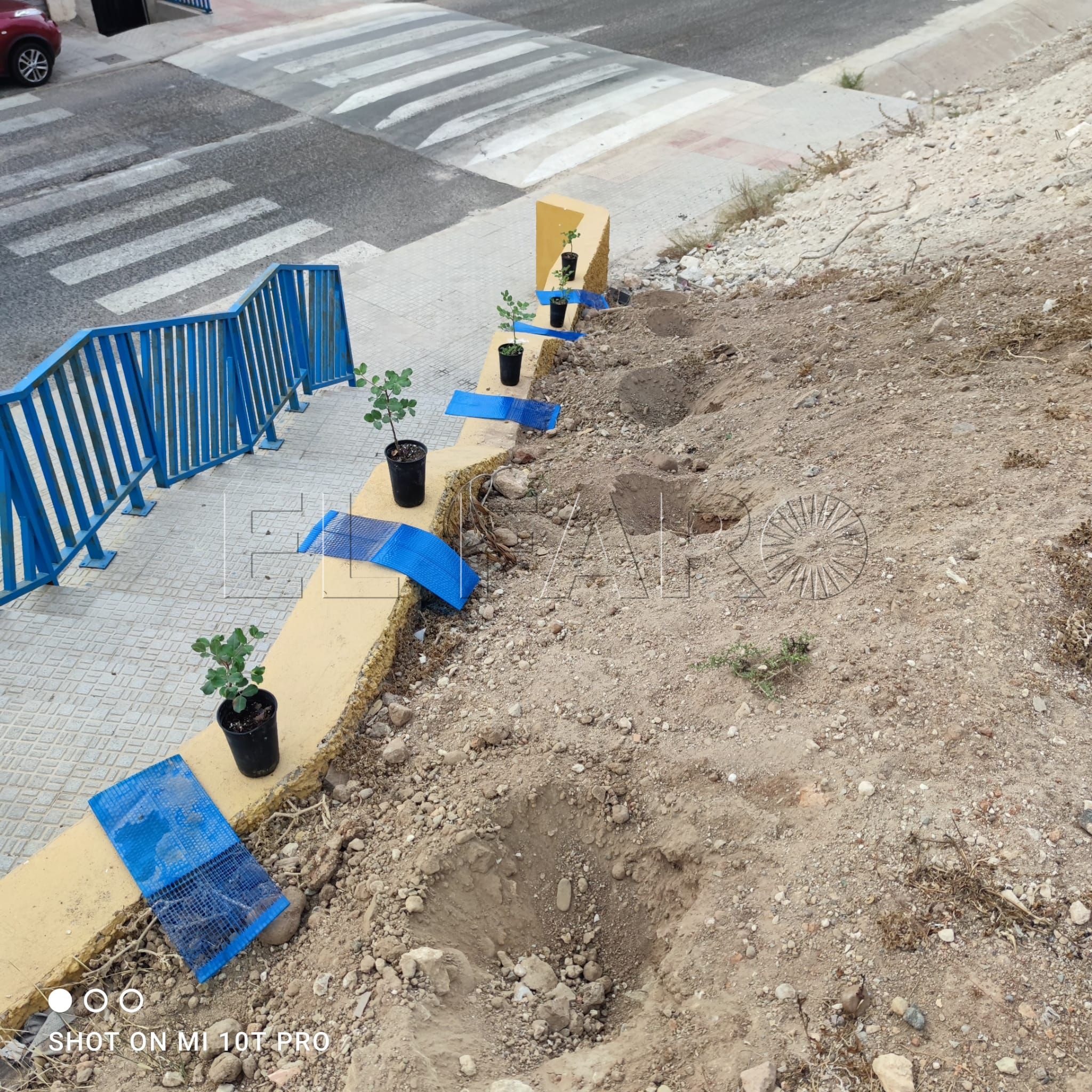 Melilla necesita más verde en las calles