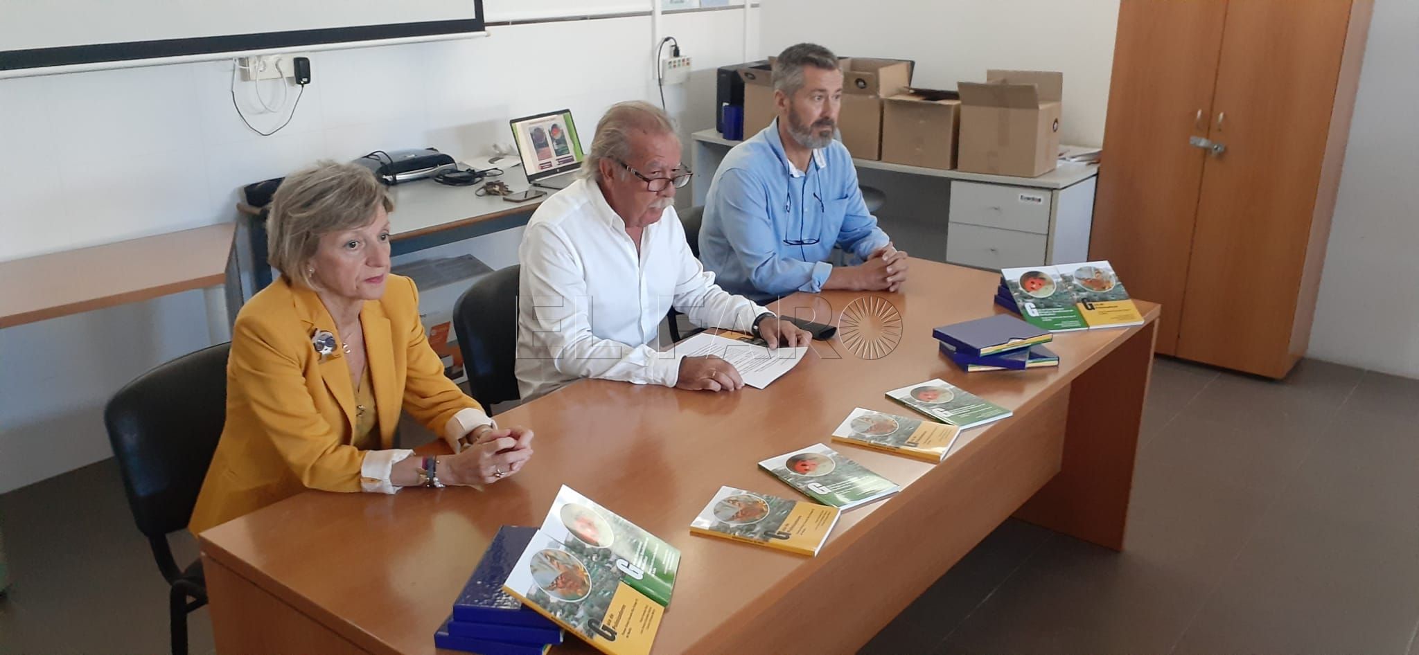 Decae la población de insectos polinizadores en Melilla