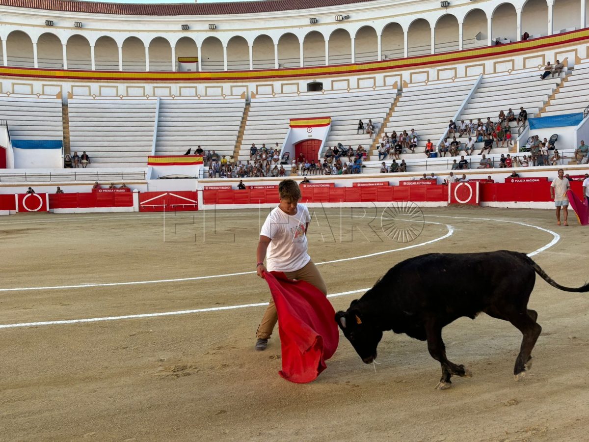 Suelta de vaquillas en la Mezquita del Toreo ante numerosos jóvenes