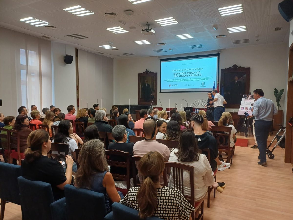 Los melillenses aprenden en el cuidado de las colonias felinas en la primera jornada formativa en esta materia de la ciudad