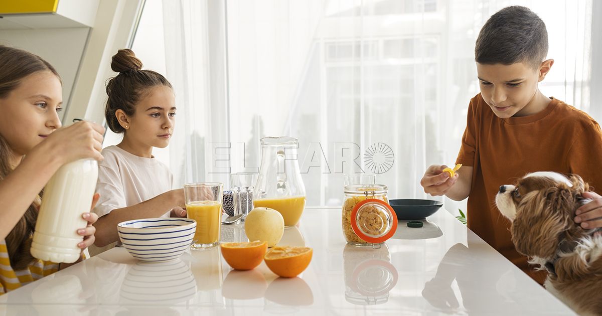 Así debe ser la dieta de los peques durante el curso escolar