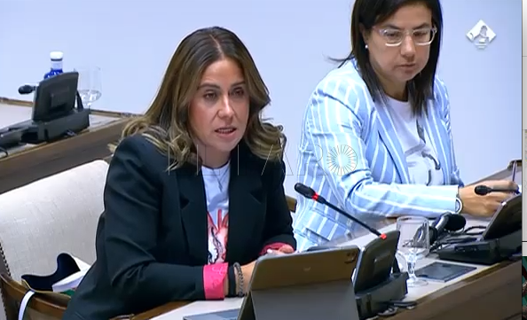 Acedo cuestiona en el Congreso la labor del director general de Policía Nacional