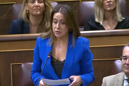 La diputada por Melilla afea al Gobierno que no pida ayuda a Europa para el control migratorio