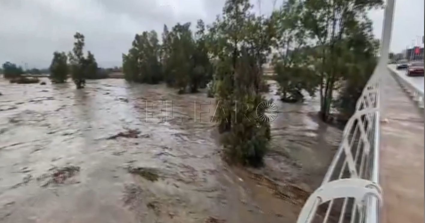 La Ciudad se pone "a disposición para lo que haga falta" en la ayuda a las comunidades afectadas por la DANA