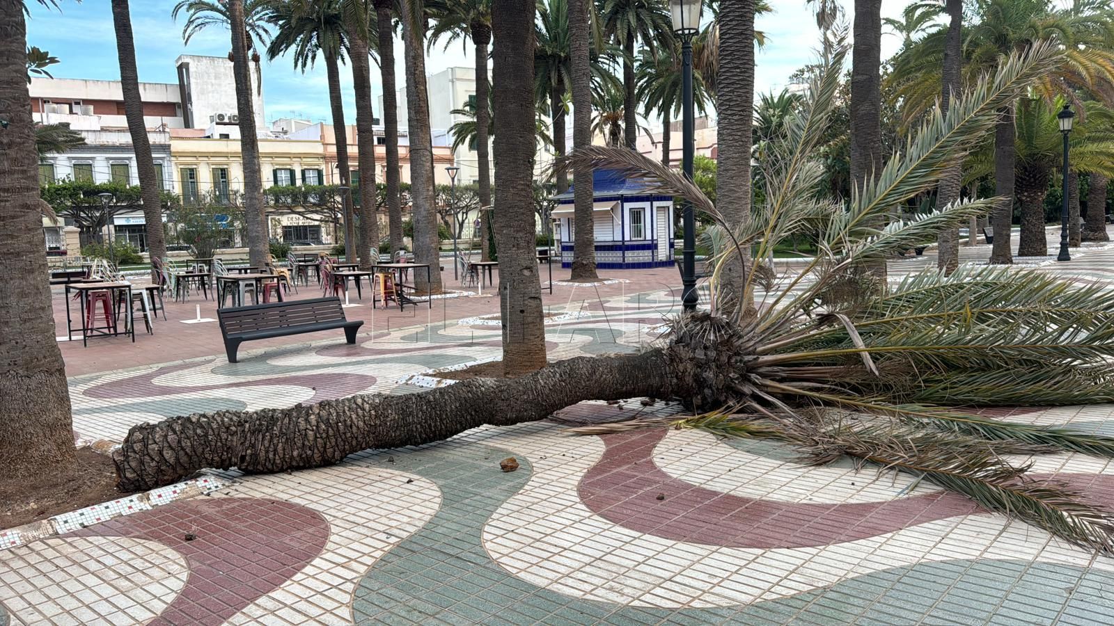 La ciudad, en alerta amarilla por fuertes vientos