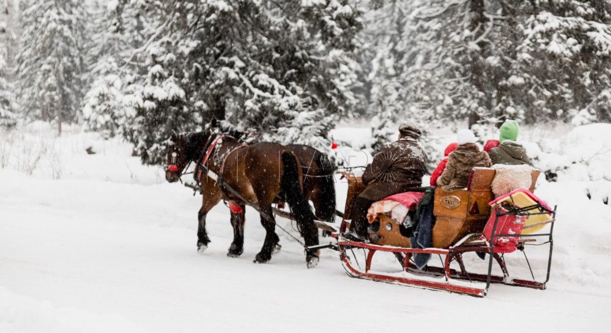 Finlandia y los mercadillos de Navidad, destinos más buscados este puente