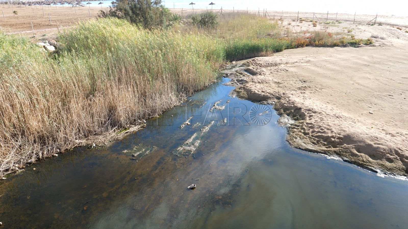 Imbroda pregunta a la CHG si el cauce del río está en condiciones