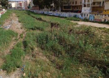 Medio Ambiente acelera los trabajos de limpieza del cauce del río y arroyos