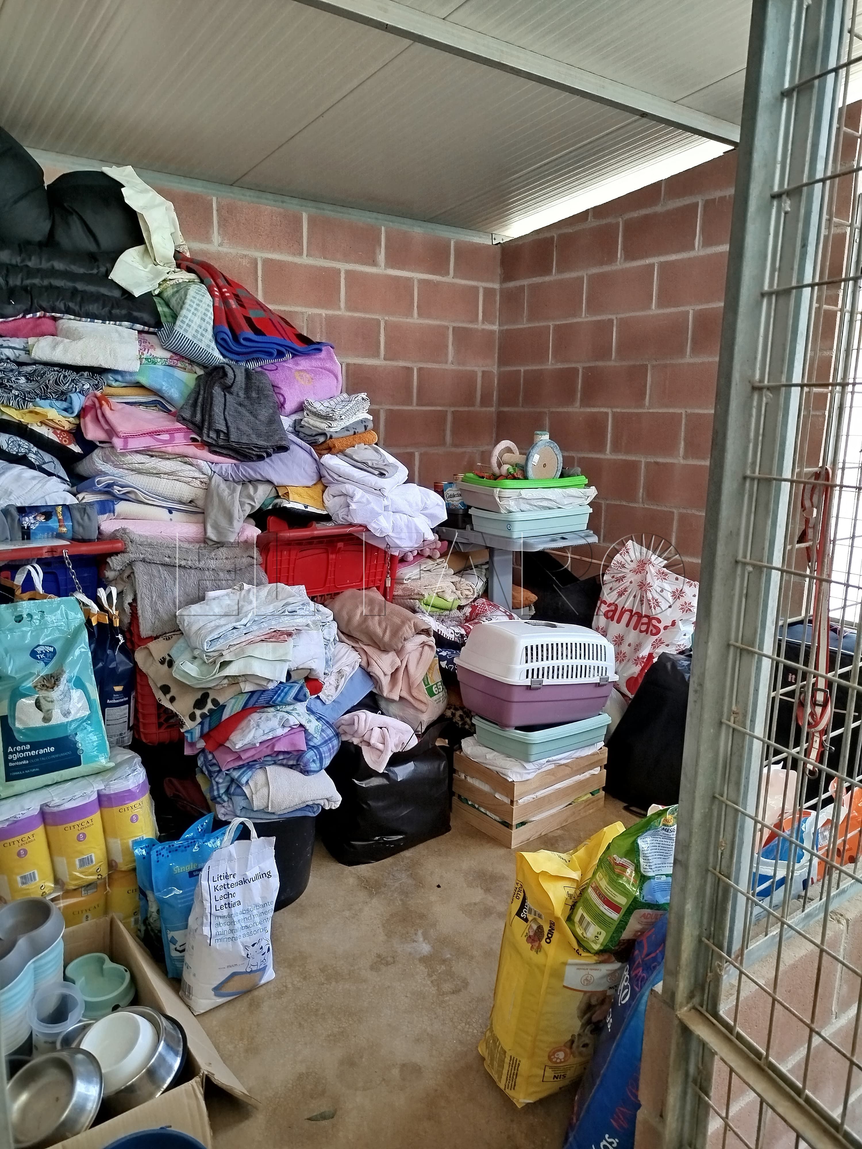 Lluvia de donaciones en la Protectora para los refugios de Valencia