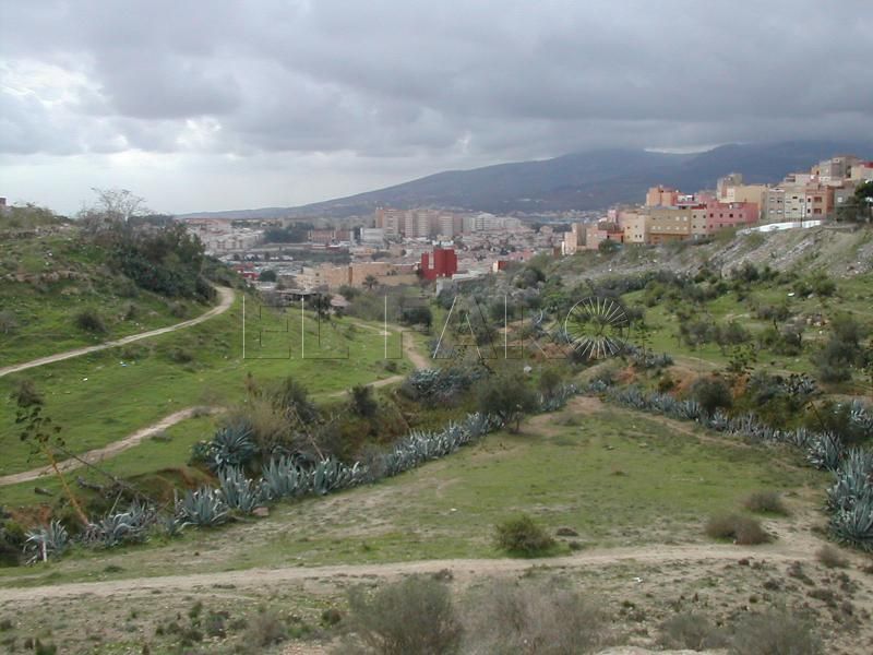 La destrucción del patrimonio natural y cultural en Cabrerizas: Una oportunidad de turismo patrimonial perdida