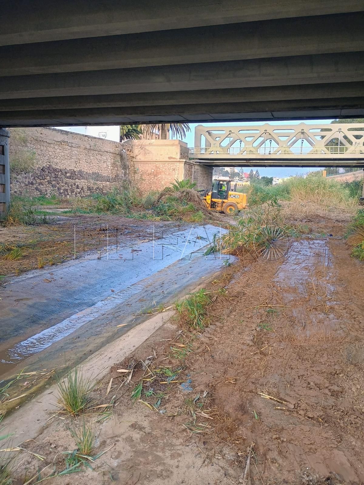 Imbroda advierte: "No quiero ni un elemento que entorpezca el caudal del río"