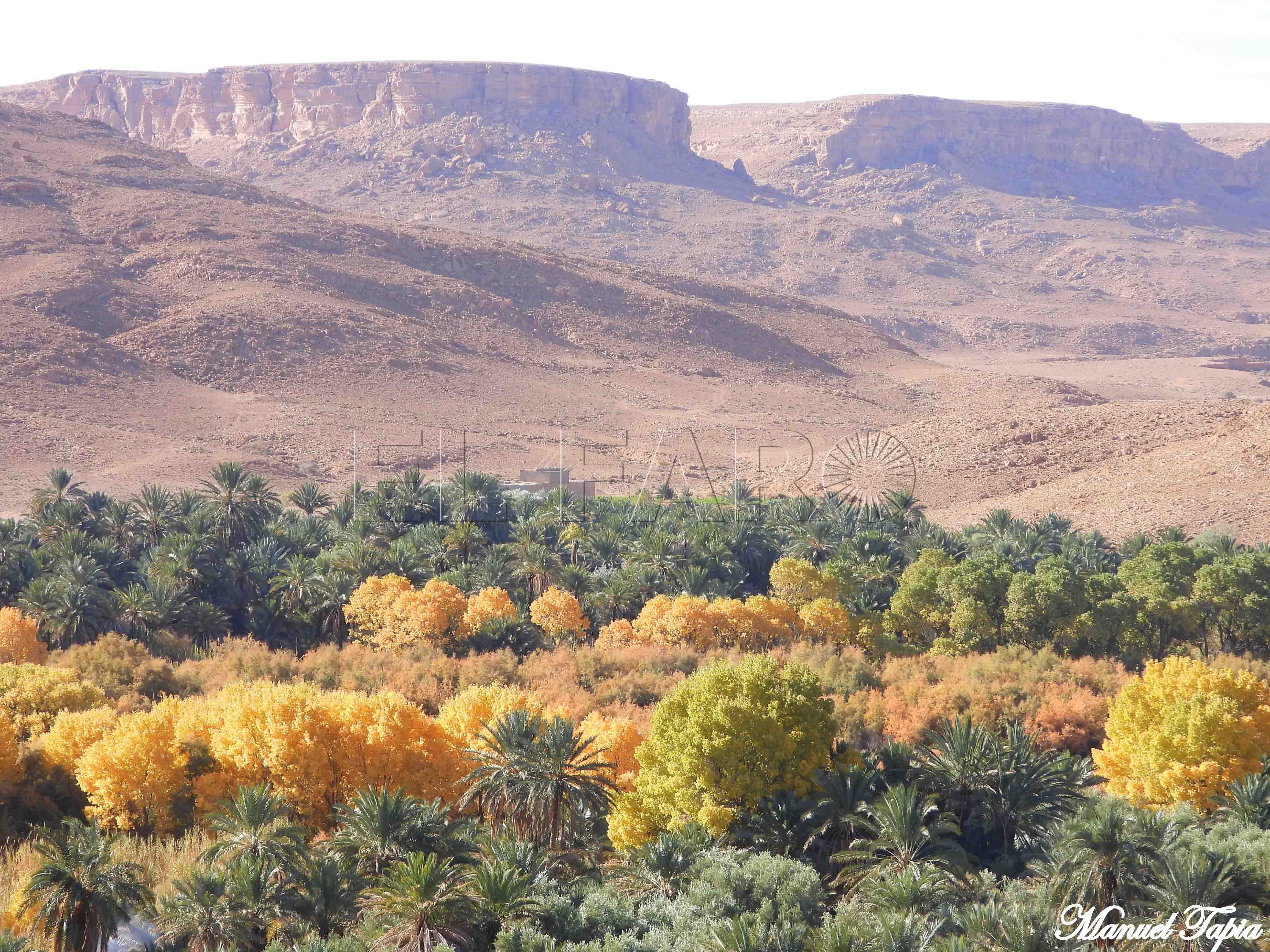 Renovada la misión de la ONU en el Sáhara hasta 31 de octubre 2025