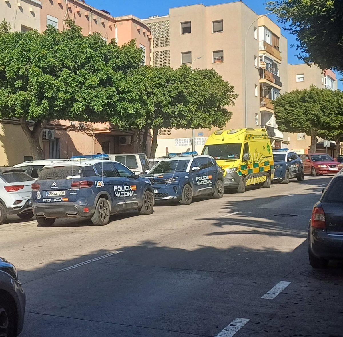 Detenido un individuo por atacar a su padre en la calle Paseo de Ronda