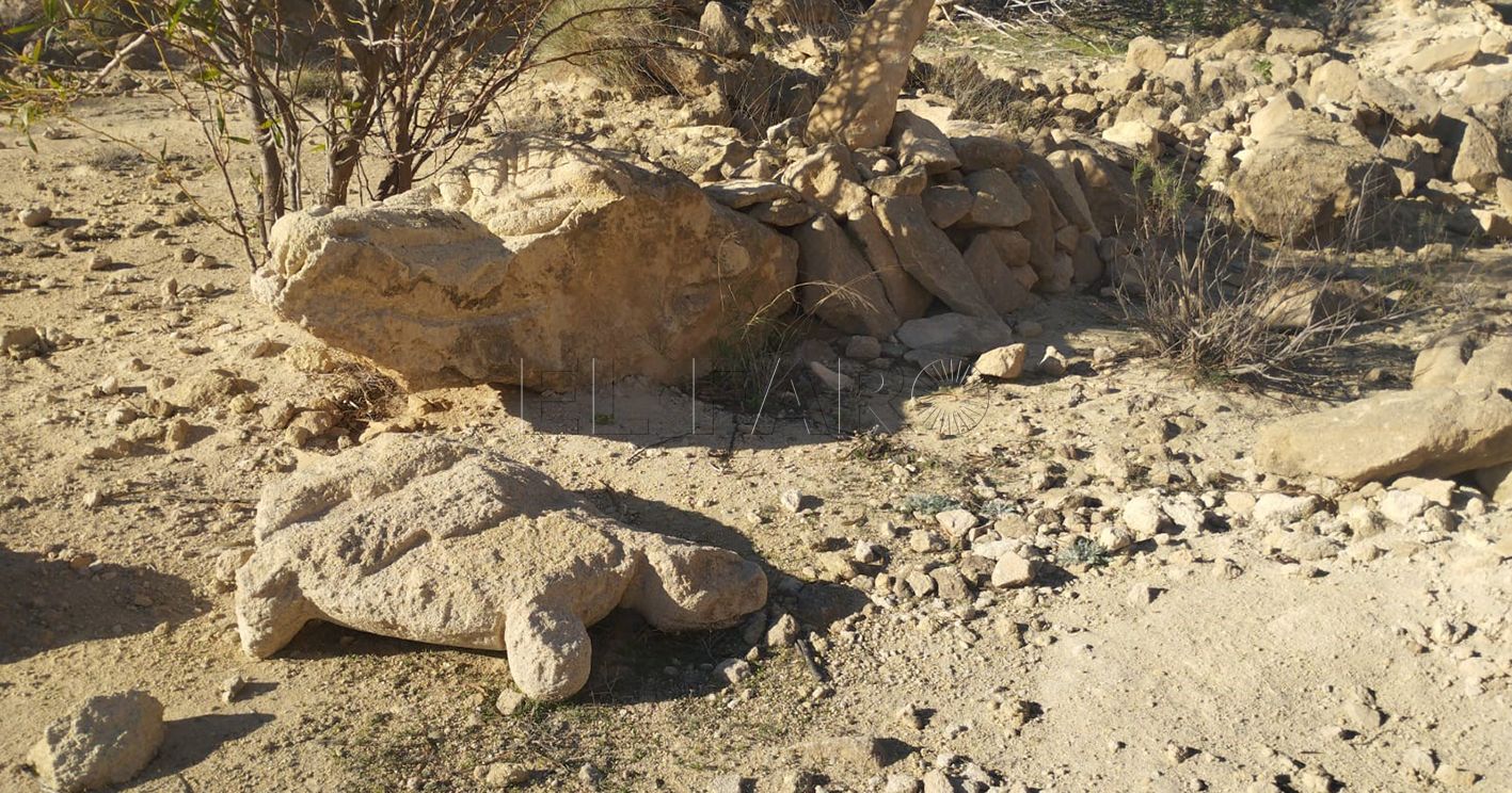 El Rey y el cocodrilo de Punta Entinas