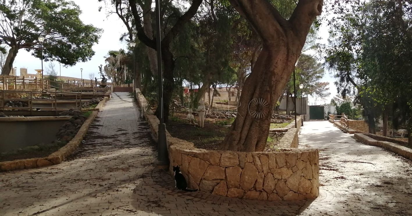 Reflexión sobre la conservación de nuestros paisajes naturales y culturales