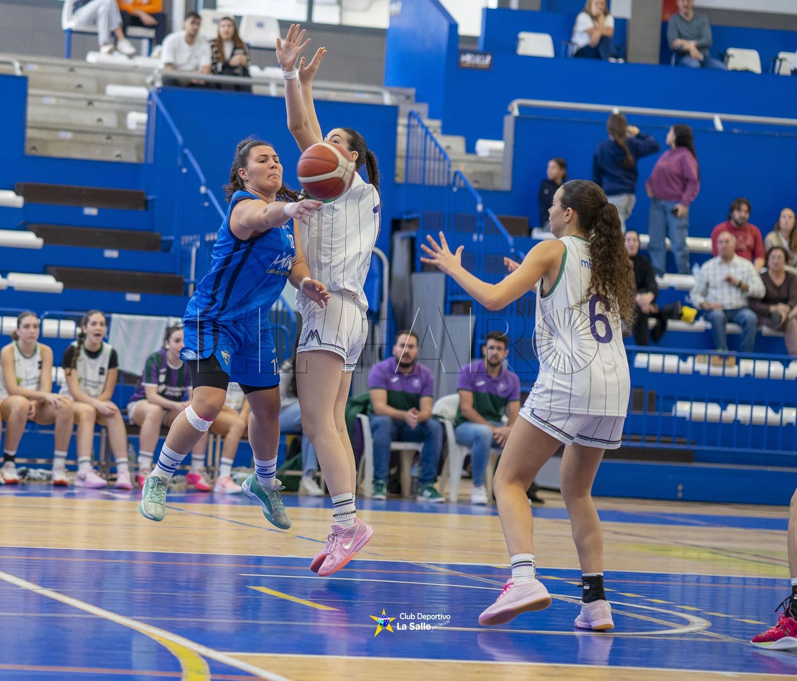 Las chicas del filial, en busca de un nueva victoria