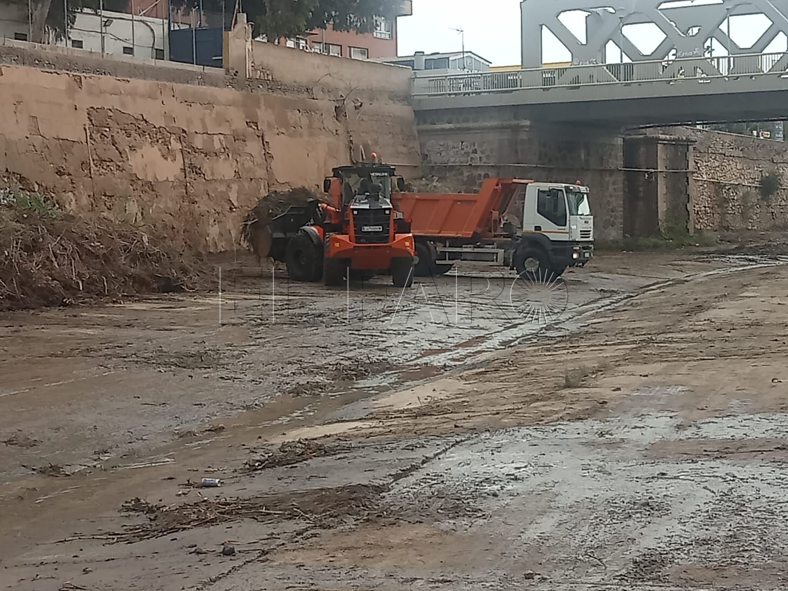 Ecologistas en Acción exige parar los trabajos en la ribera del río