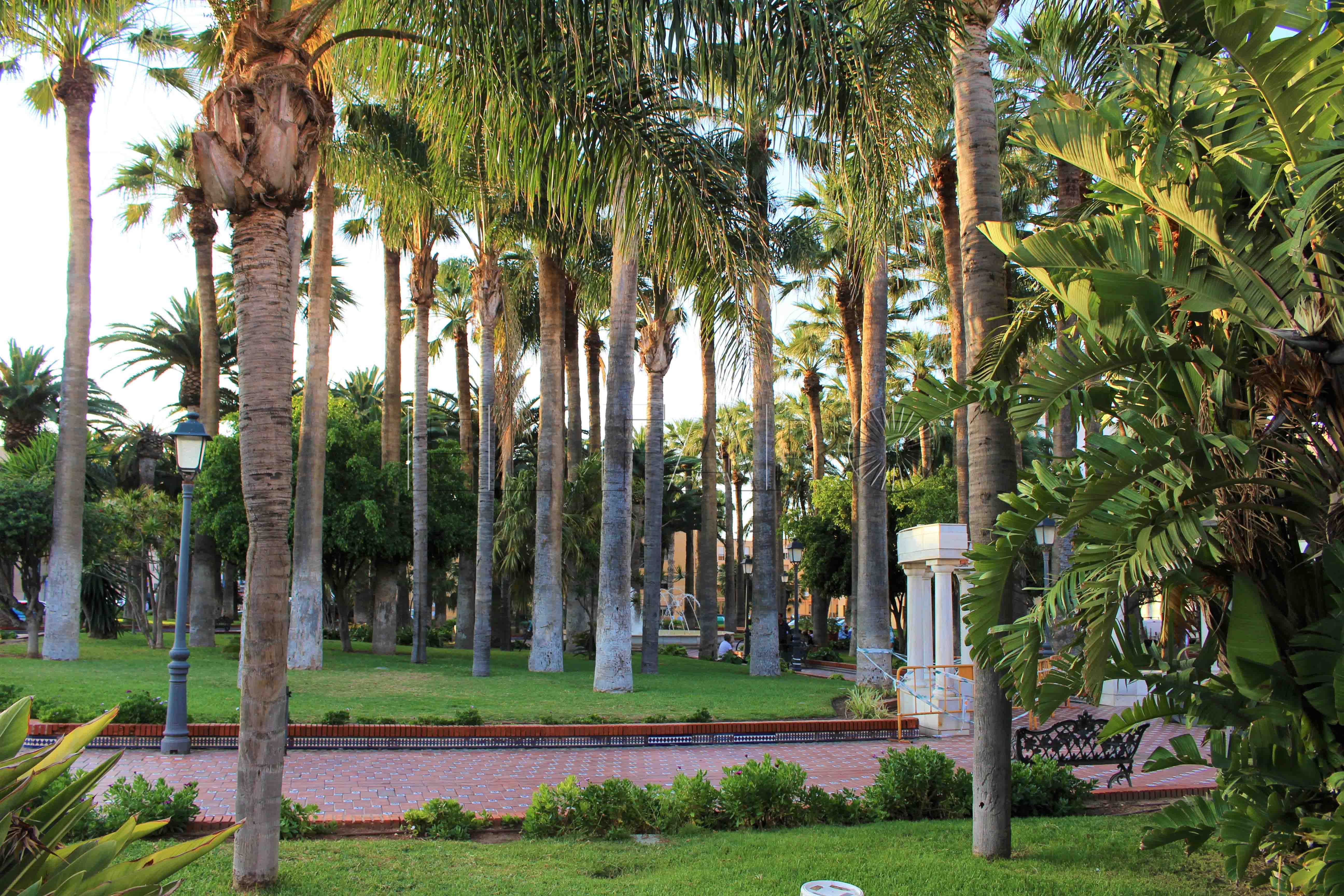 Talher apuesta por la innovación