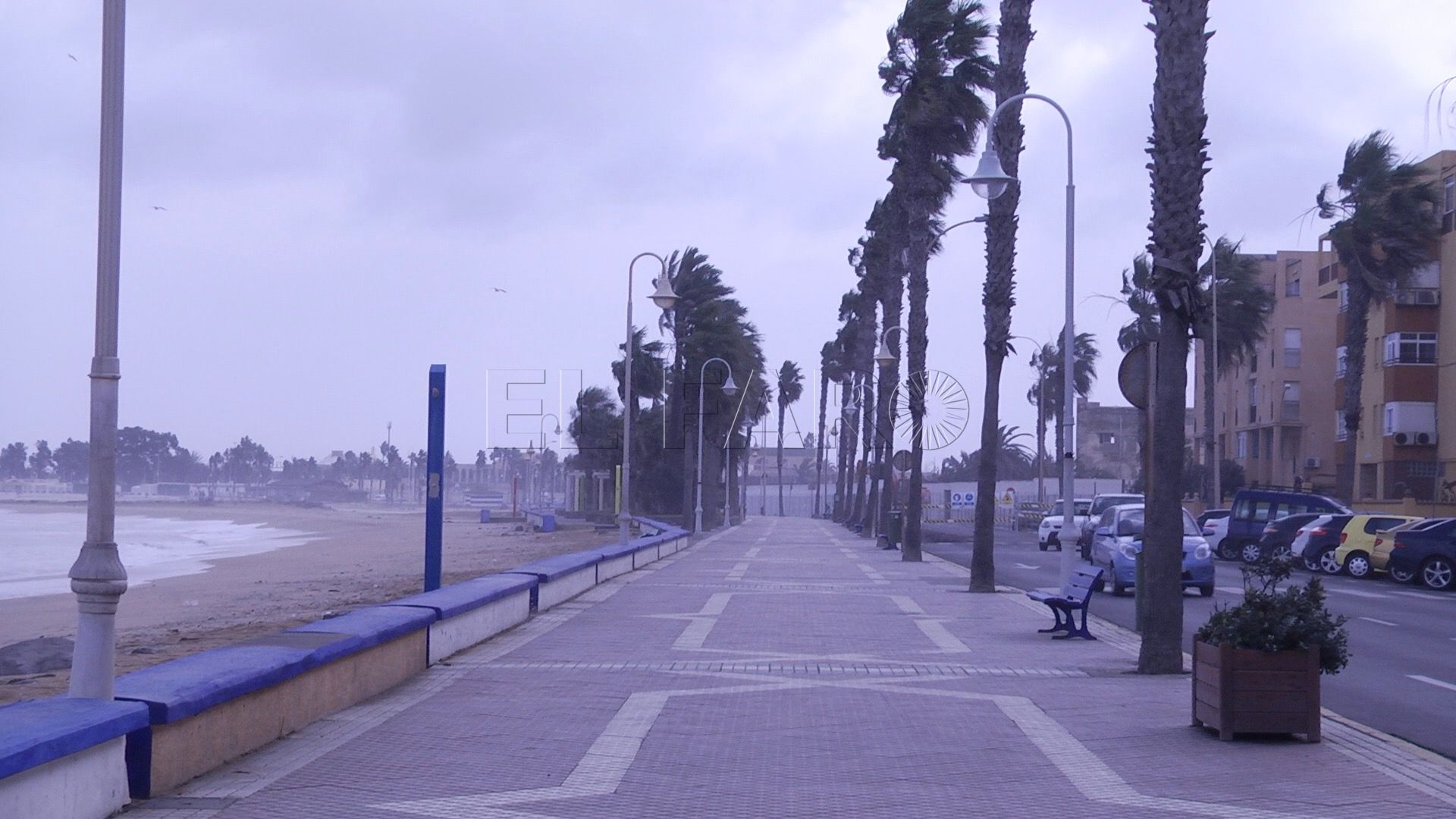 Temporal