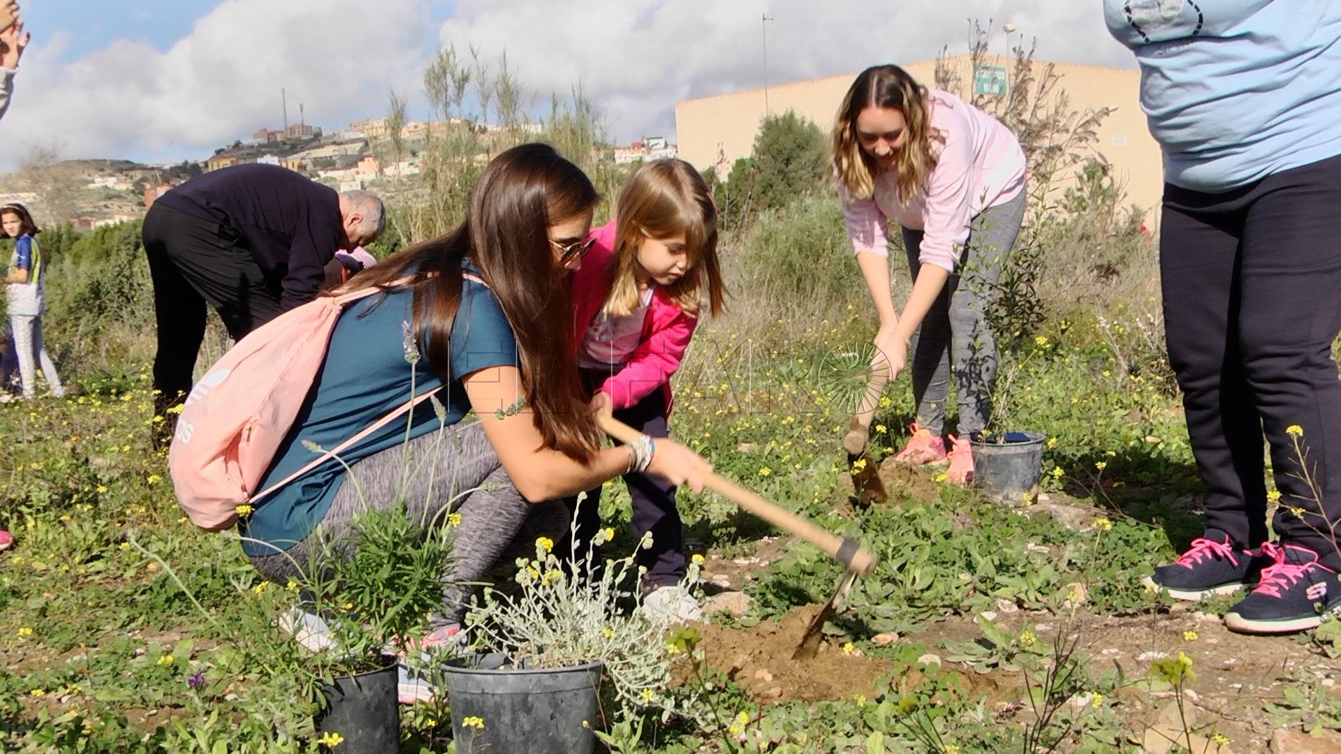 Niños plantando árboles
