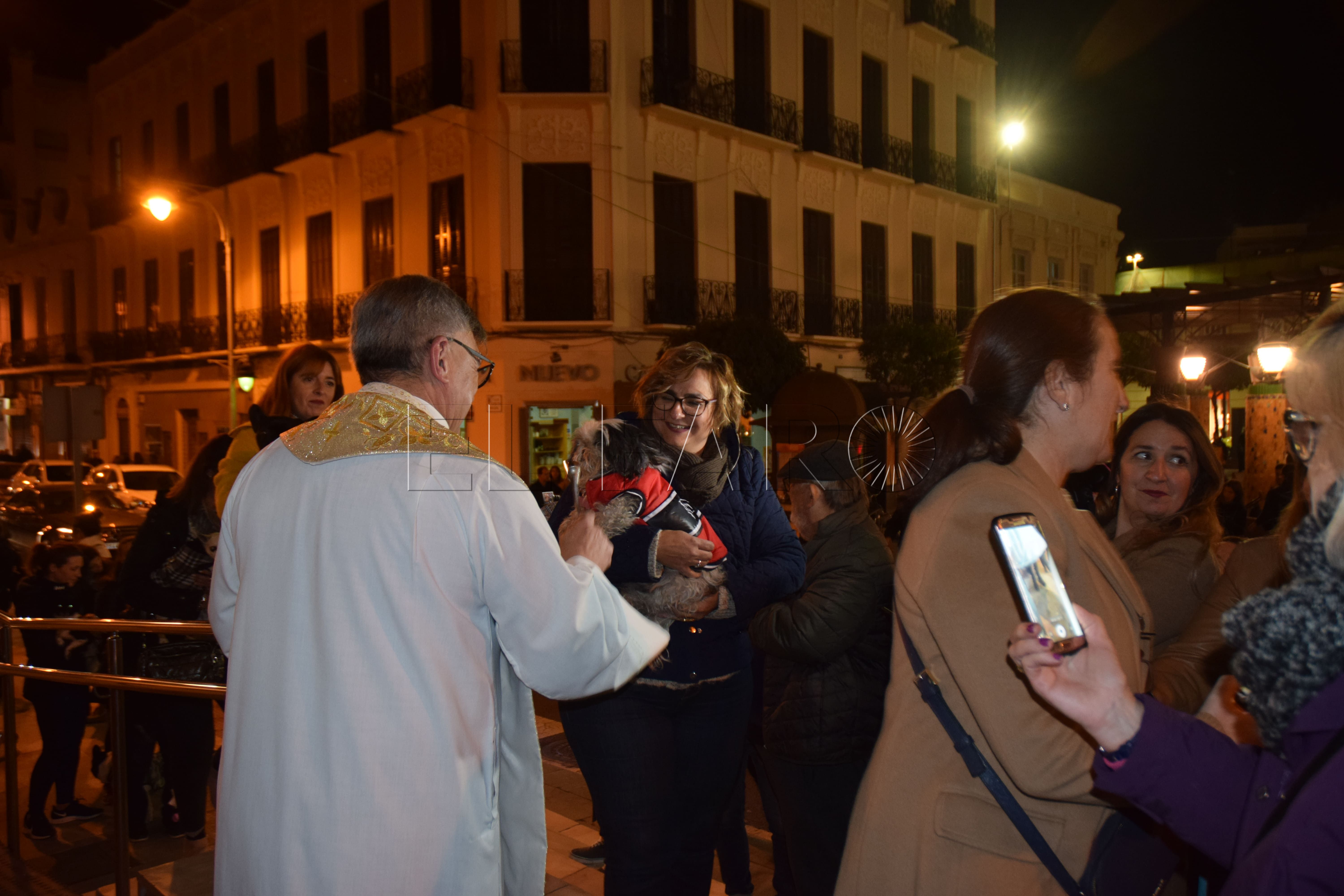 Festividad de San Antón