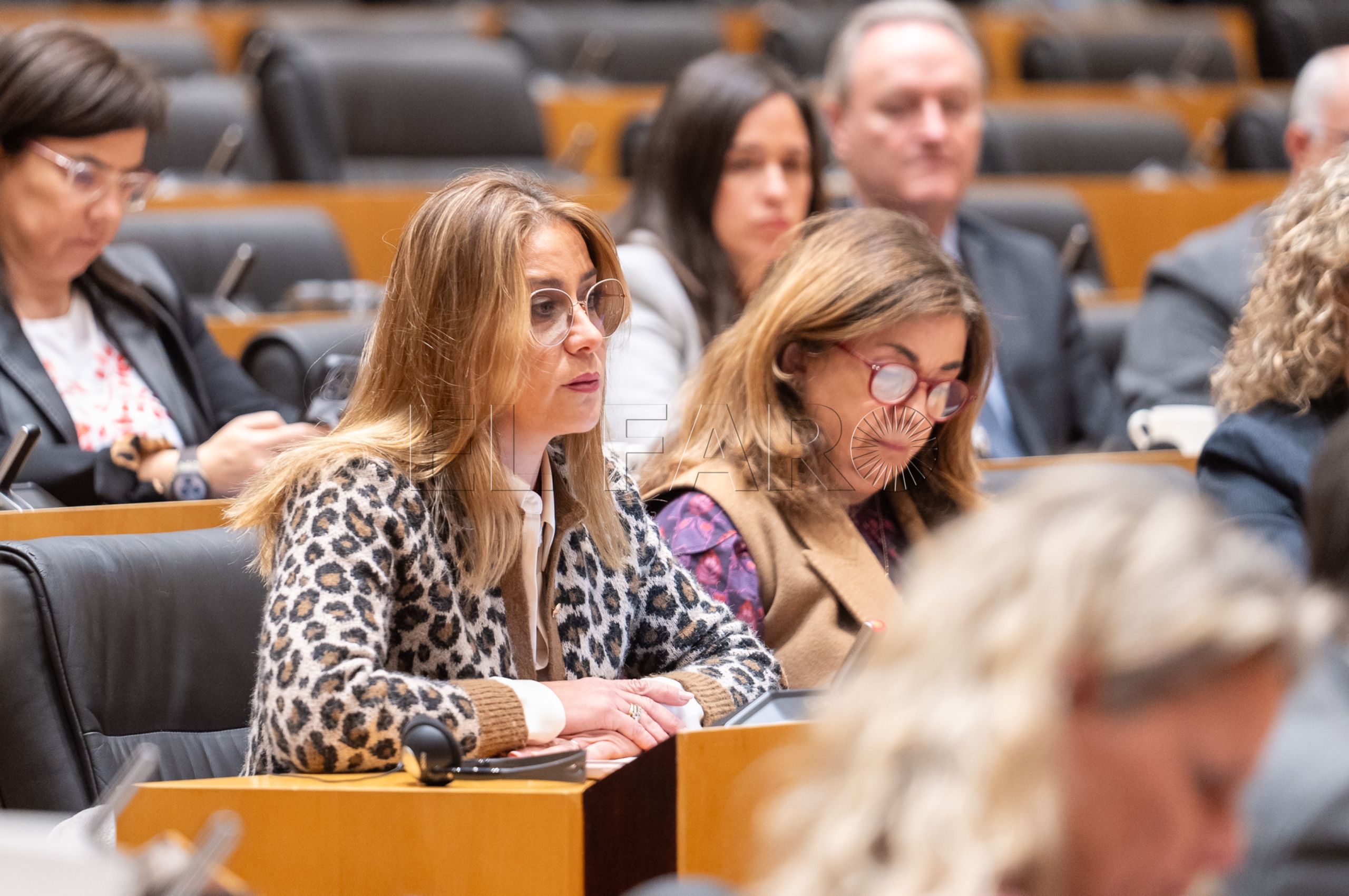 Diputada Sofía Acedo