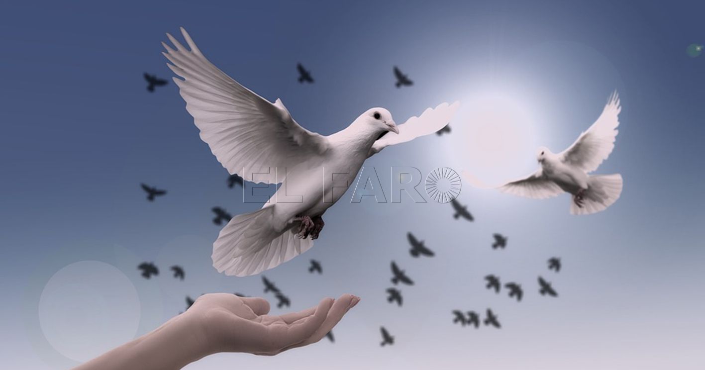 30 de enero: Día escolar de la no violencia y de la paz