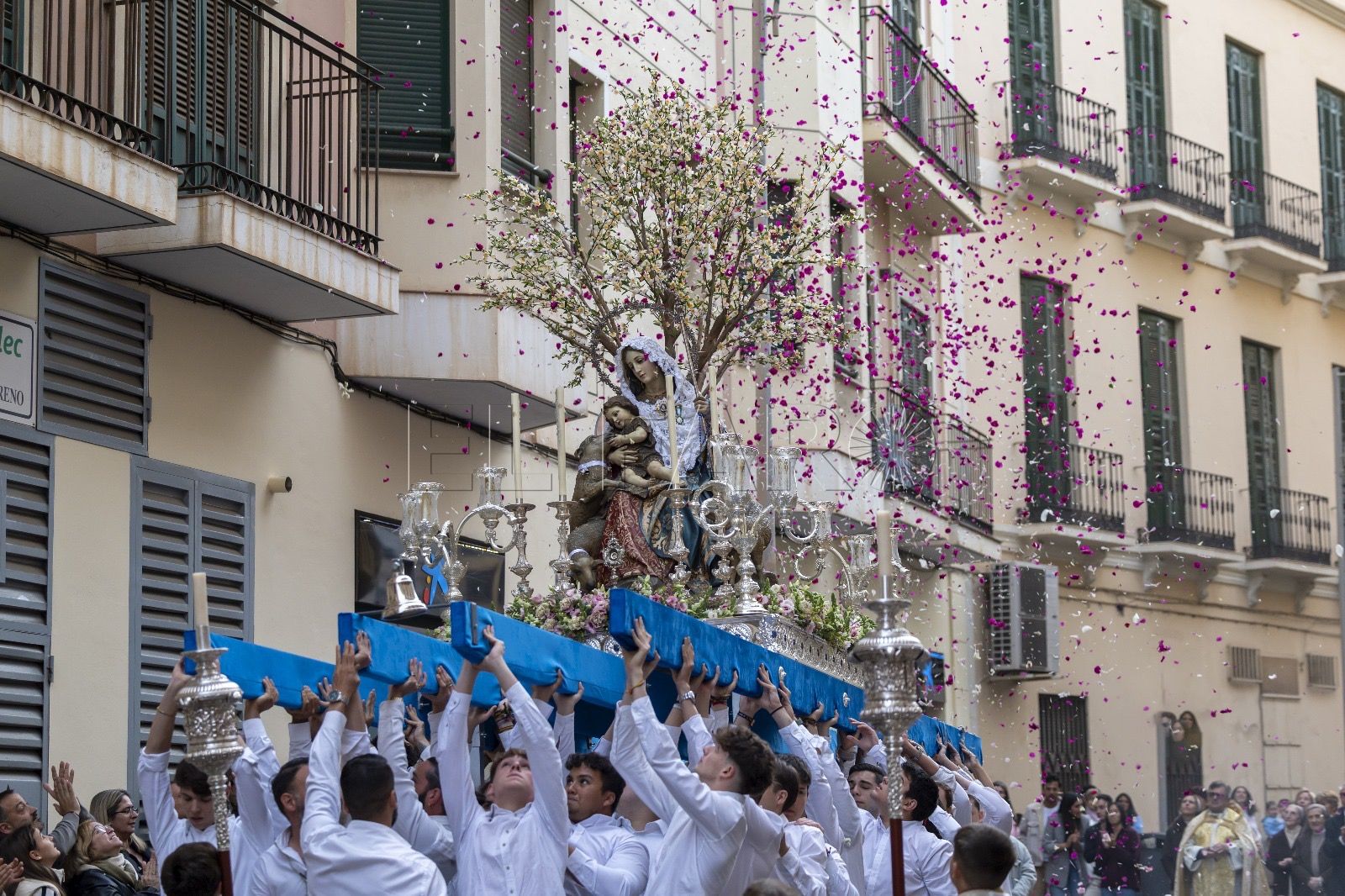 Sorpresa en la Hermandad de la Divina Pastora tras denegar la Coronación a su virgen