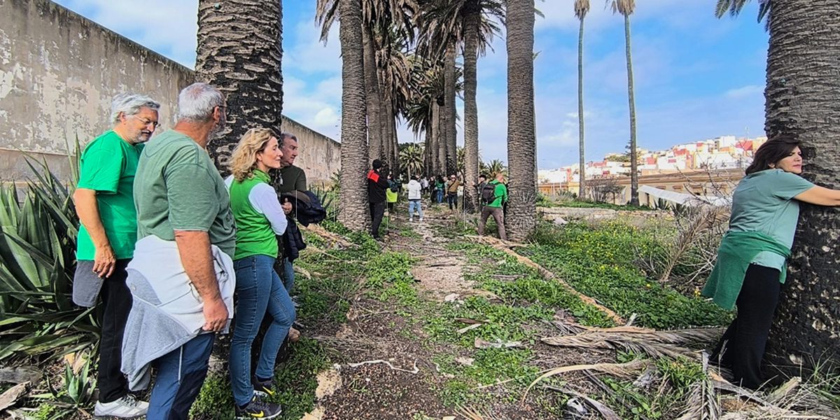 Guelaya insta a conservar la arboleda centenaria del cuartel de Santiago