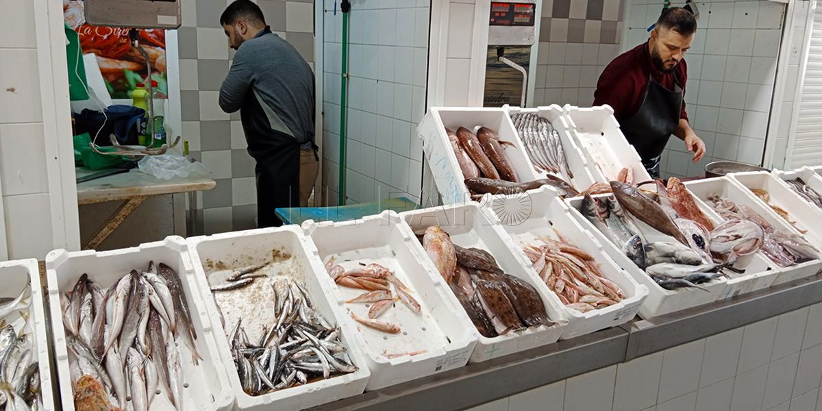 El pescado procedente de Marruecos no llega a Melilla para decepción de los empresarios