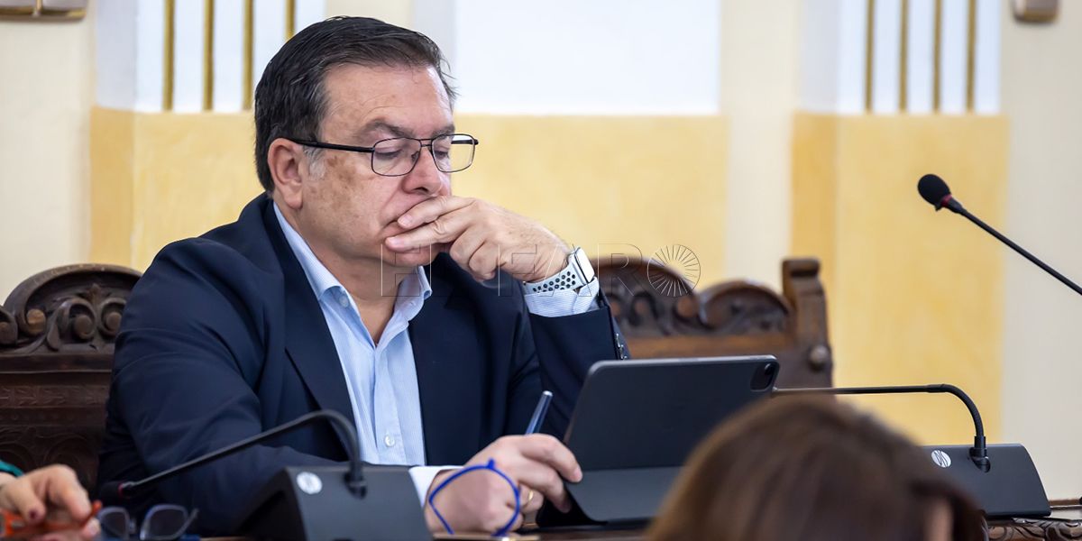 Ronda expondrá un nuevo Servicio de Vigilancia de Seguridad Privada en la Asamblea