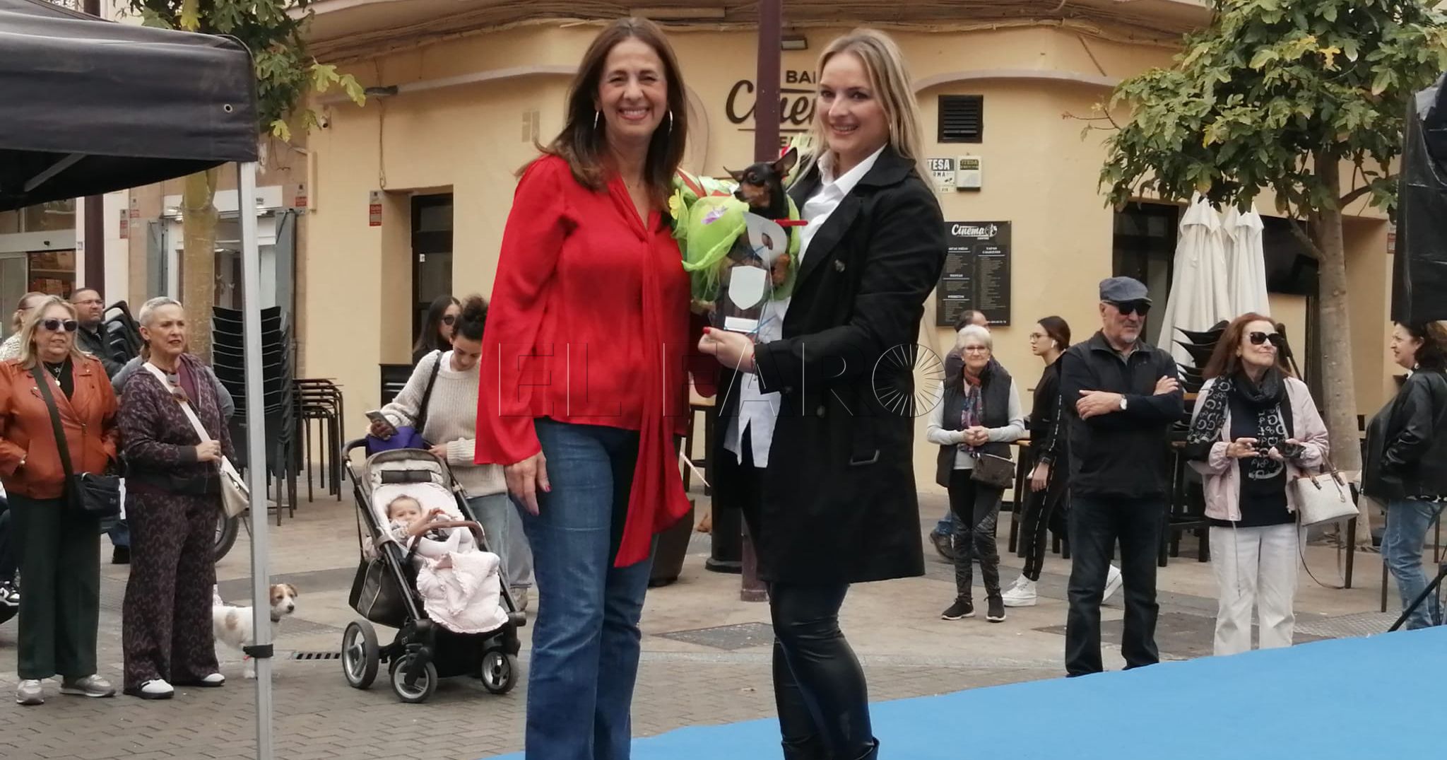 Un jardín de flores para "la florecilla de la casa" gana el concurso de mascotas del Carnaval de Melilla